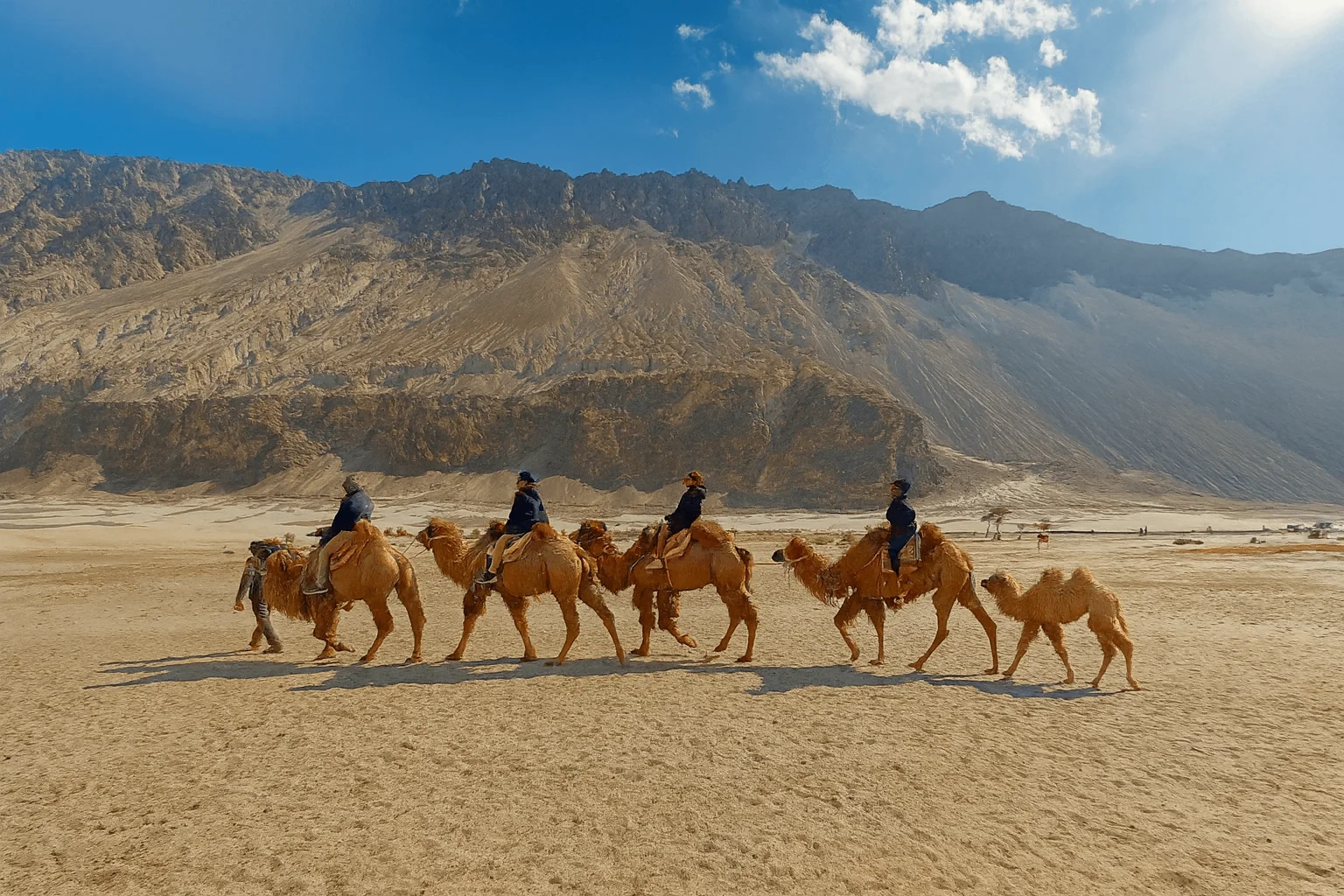 A camel caravan crossing the desert along the Silk Road